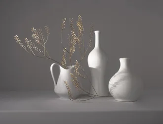 Minimalistiskt botaniskt stilleben