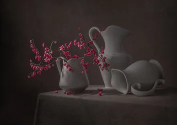 Rosa blommor och vita kannor