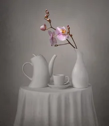 Te-stund med rosa orkidéer