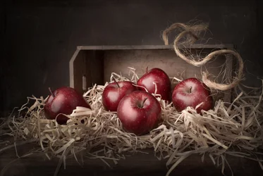 Äpplen från Rustic Harvest