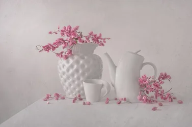 Stilleben i mjukt rosa