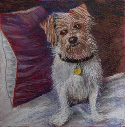 Min lilla hund på sidenkudde, 2020 (pastell)