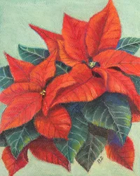 Julstjärna, 2022 (pastell)