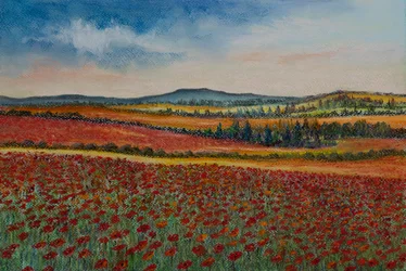Vallmofält..Flandern, 2020 (pastell)