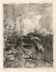 Botanikern