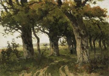 Ekgränd på sensommaren. 1880-1900