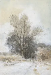 Vandrare i snön i kanten av en skog