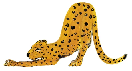 Big Cat Stretch, 2020 (akvarell på papper)