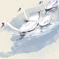 Hyde Park Swans, 2021 (akvarell på papper)