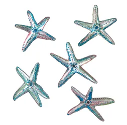 Star Fish, 2020 (akvarell på papper)