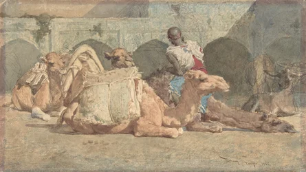 Camels Reposing, Tanger, ca. 1854-74.