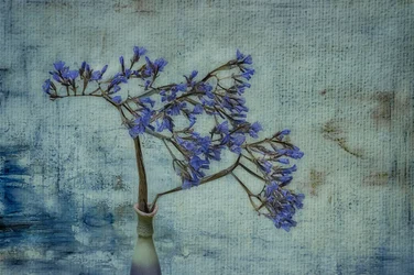 Vasa i rustik stil med blått blommönster