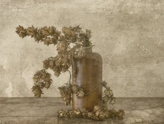 Stilleben med rustika humleblommor