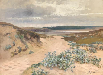 Dune landskap i Bretagne