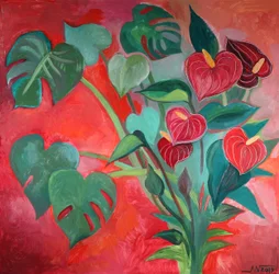 Tropical Monstera Anthurium Blooms