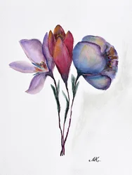 Färgglada akvarellblommor