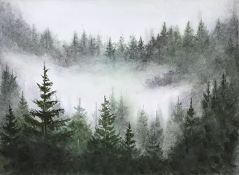 Lugn i den dimmiga skogen