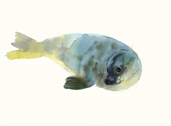 Aqua Grön