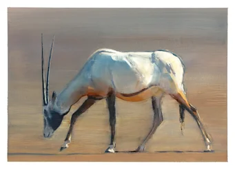 Arabian Oryx, 2010 (olja på papper)