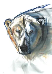 Arctic Icon, 2015, (conté och pastell på papper)