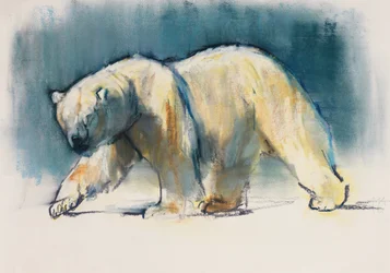 Arctic Light, 2017