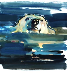Arctic Swim, 2016, (akvarell på papper)