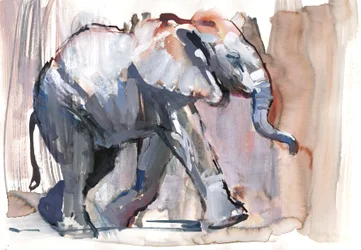 Babyelefant, 2012 (blandmaterial på papper)