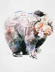 Björn (charcoal und conte på papper)