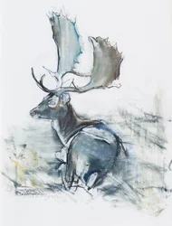 Buck in the Grass, 2006 (charcoal und conte på papper)