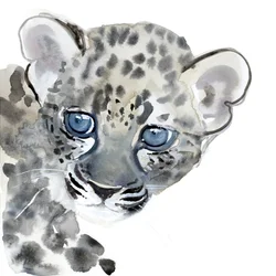 Cub, 2015, (akvarell på papper)
