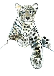 Direct (arabisk leopard), 2015, (akvarell och gouache på papper)