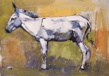 Åsnehingst, Ronda, 1998