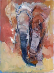 Elefant, 2018