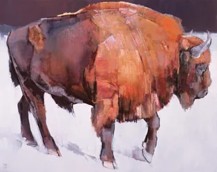 Europeisk bison