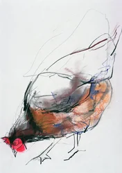 Feeding Hen, Trasierra, 1998 (grafit, conte och kol på papper)