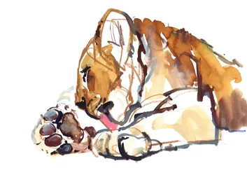 Grooming Cub, 2019