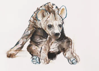 Hyaena Pup (huvudet ner), 2019
