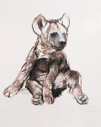 Hyaena Pup (sitter upp), 2019
