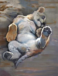 Lazy Cub, 2021