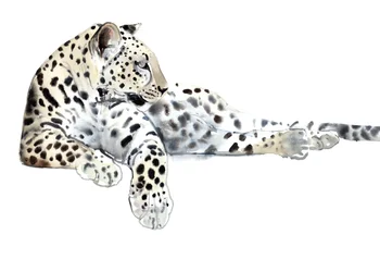 Lång (arabisk leopard), 2015, (akvarell och gouache på papper)