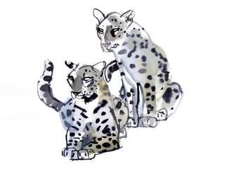 Mor och son (arabiska leoparder), 2008