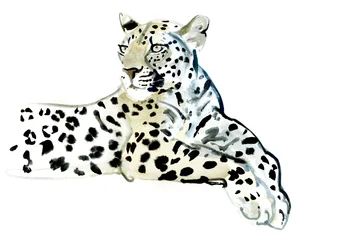 Poise, 2015, (akvarell på papper)