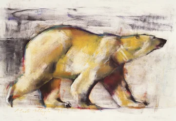 Polar Bear (blandad media på papper)