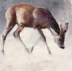 Roe Buck, Winter, 2000 (blandmaterial på papper)
