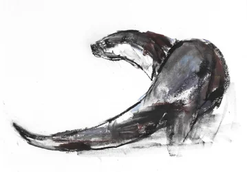 Rudder (träkol och conte på papper)