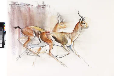 Running Arabian Gazelles, 2010 (olja på papper)