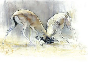 Sandgaseller, 2009 (conte & kol på papper)