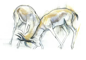 Sandgaseller, 2009 (conte och kol på papper)