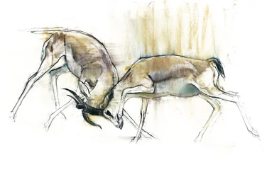 Sand Gazelles, 2009 (conte och träkol på papper)