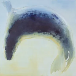 Seal Circle, 2003